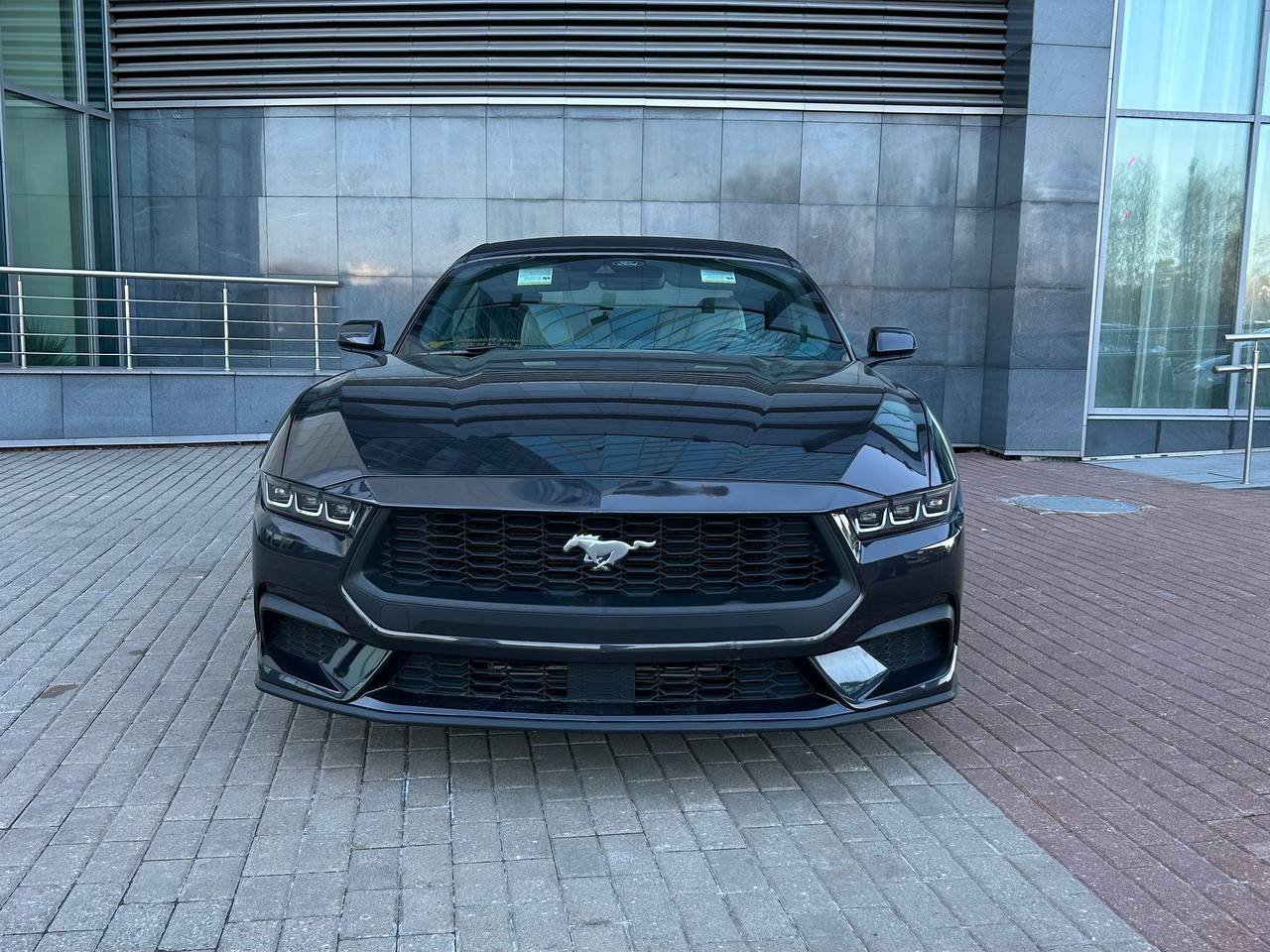 photo_2026-03-26_11-50-24