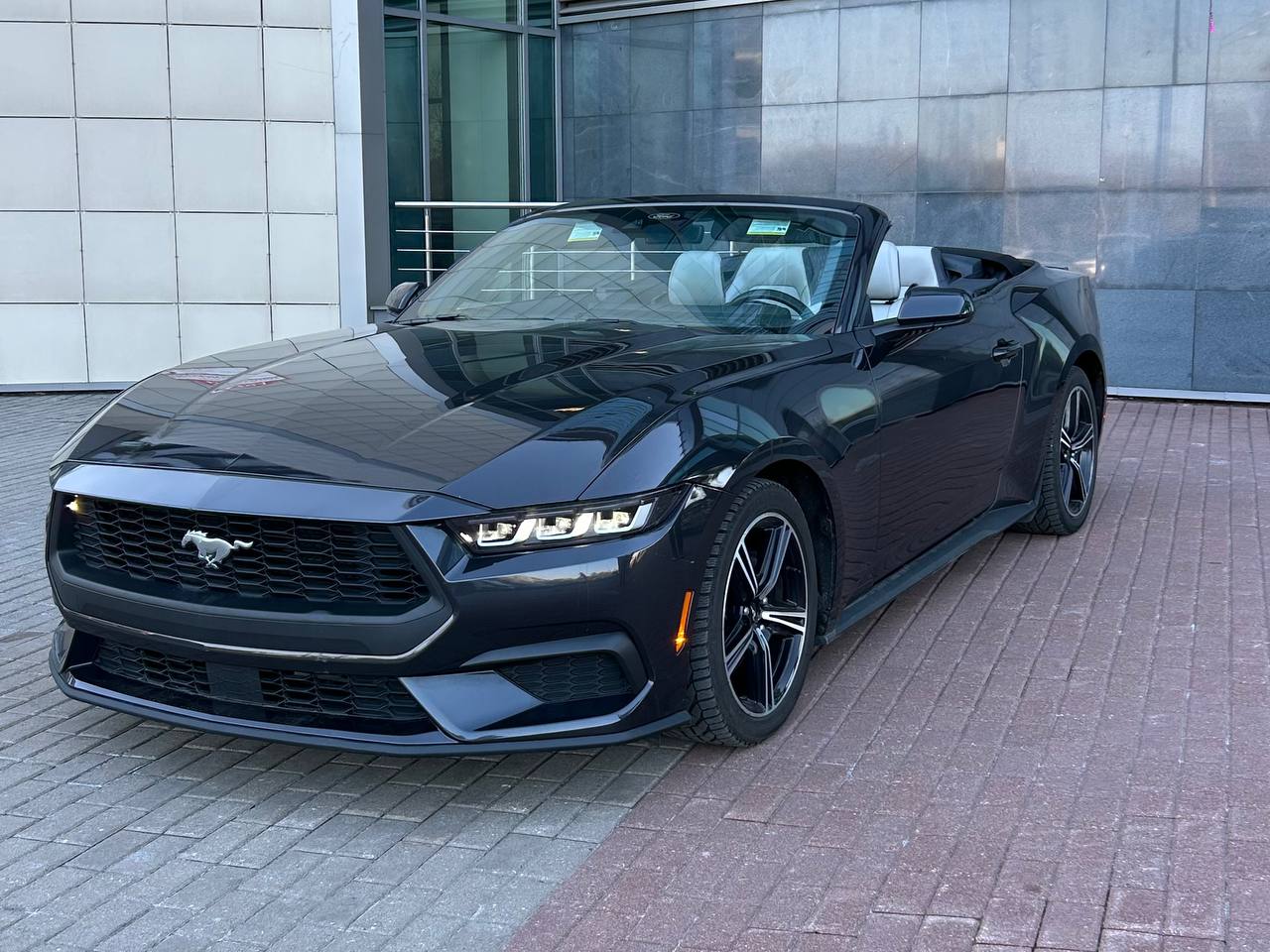 photo_2026-03-26_11-50-28