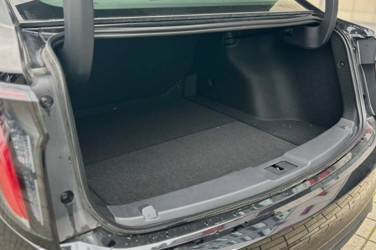 photo_2025-11-10_09-51-28