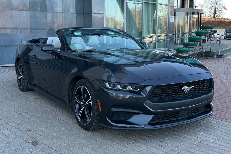 photo_2026-03-26_11-50-19