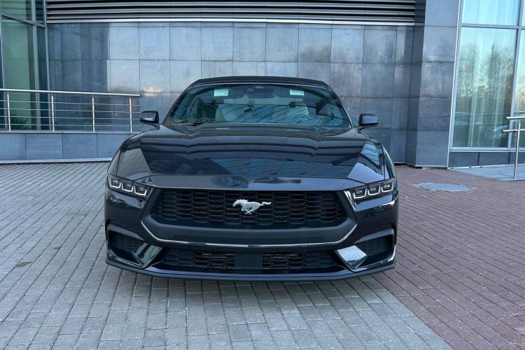 photo_2026-03-26_11-50-24