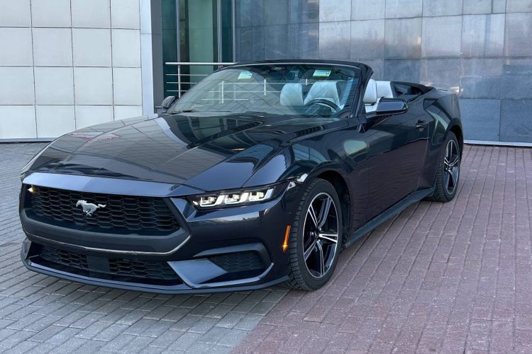 photo_2026-03-26_11-50-28